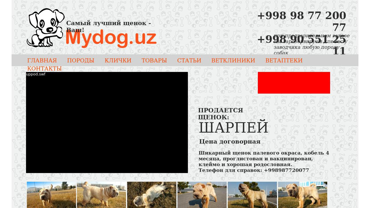 Сайт для тех кто любит собак, все о собаках.