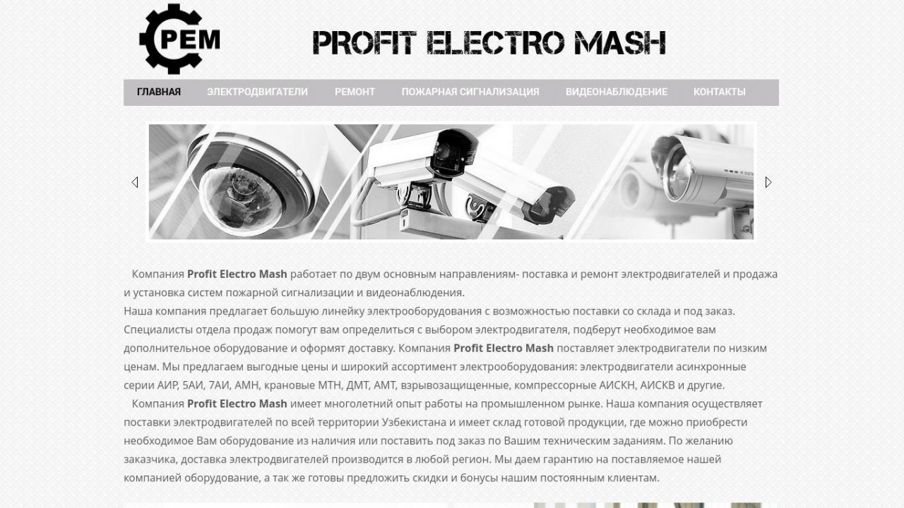 Profit Electro Mash